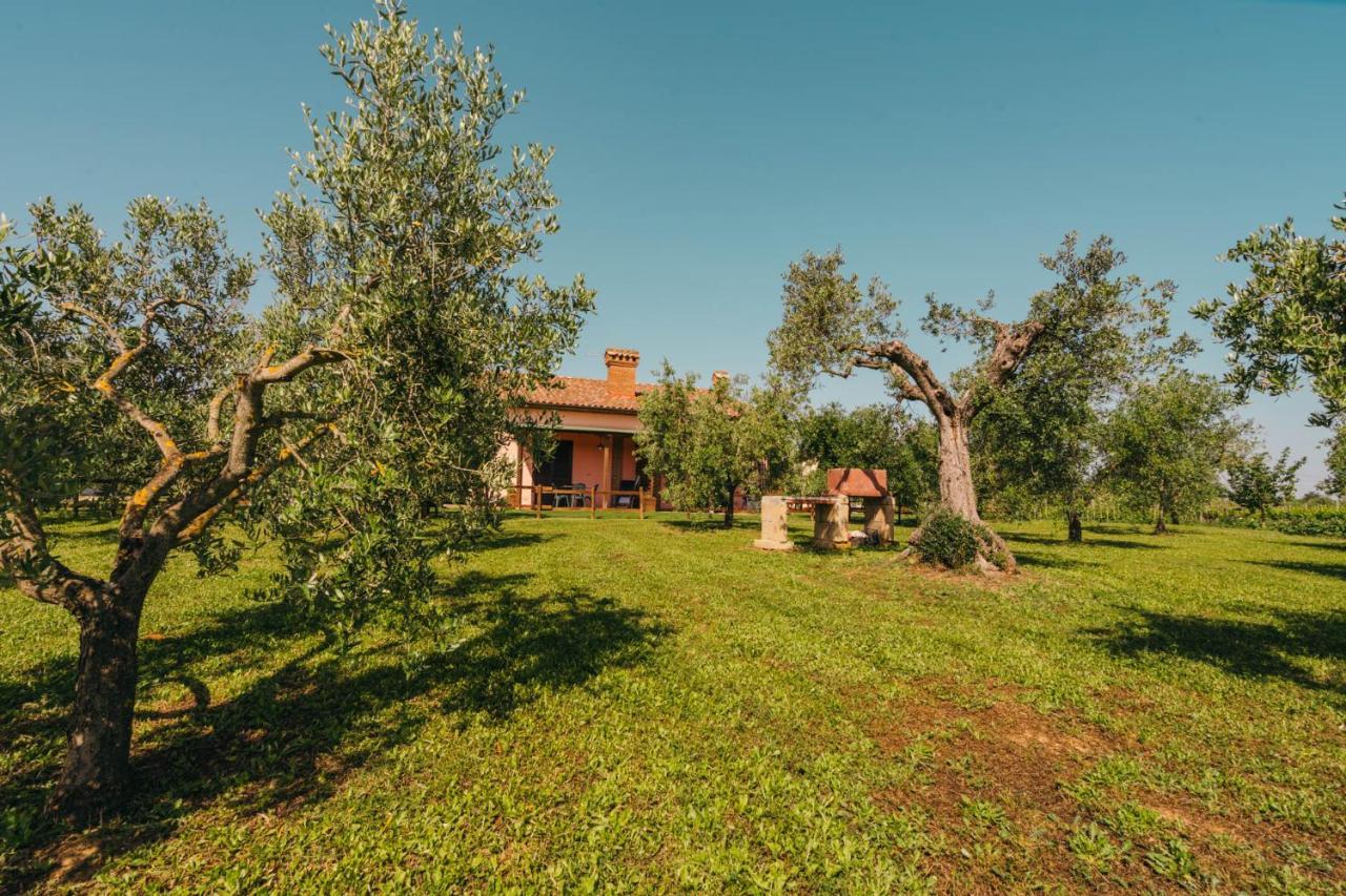 Agriturismo Il Laghetto Гроссето Экстерьер фото