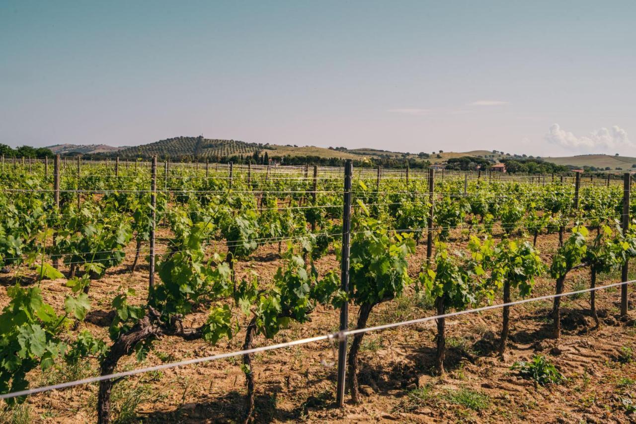 Agriturismo Il Laghetto Гроссето Экстерьер фото